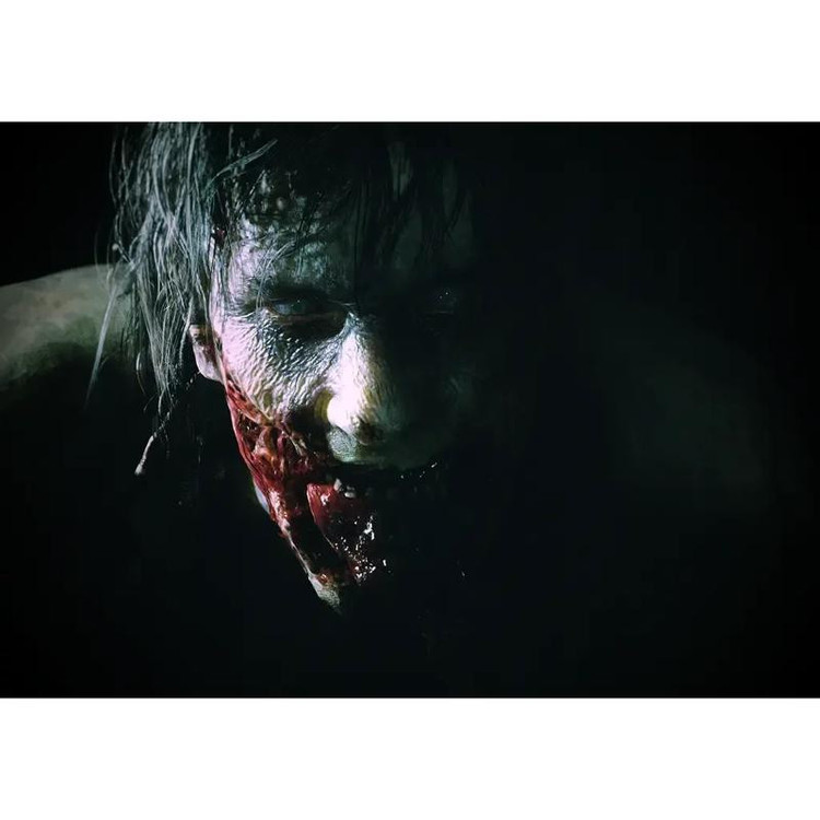 بازی Resident Evil 2 Remake نسخه دیسک بلوری مخصوص PS4